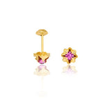 18K Gold Layered Cubic Zirconia Plugs Kids Earrings with Star Shape 21.0153/1/7